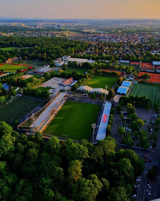 也为她赢得 也为她赢得