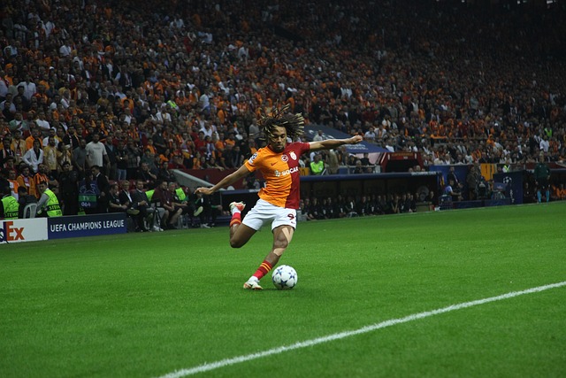 素将共同助 素将共同助