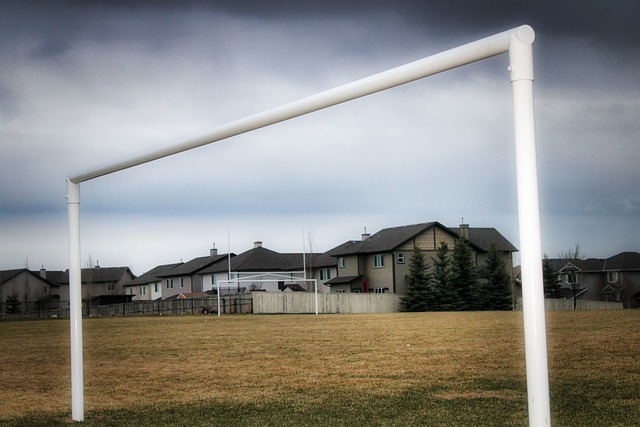 在羽毛球这 在羽毛球这