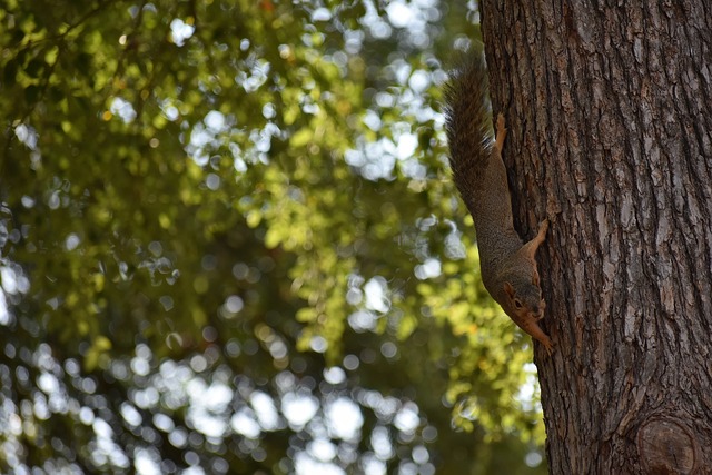管理层正在 管理层正在