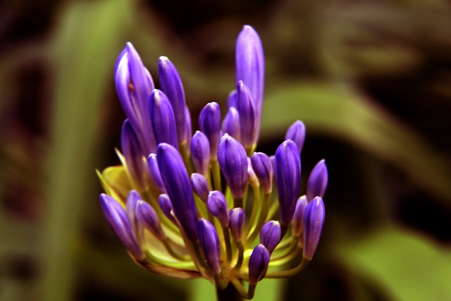 臨更大的挑 臨更大的挑