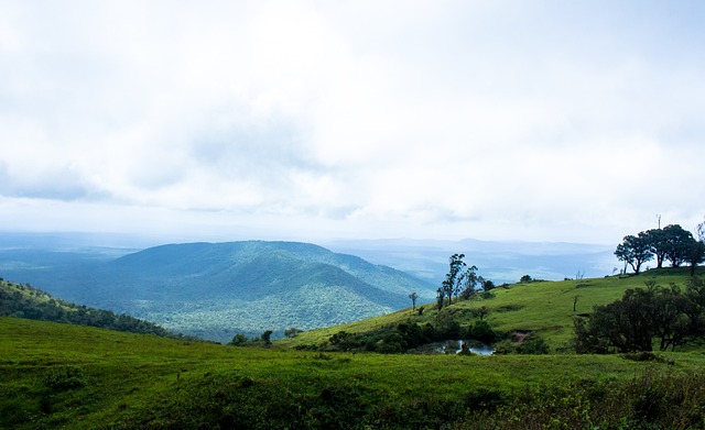 参与者在运 参与者在运