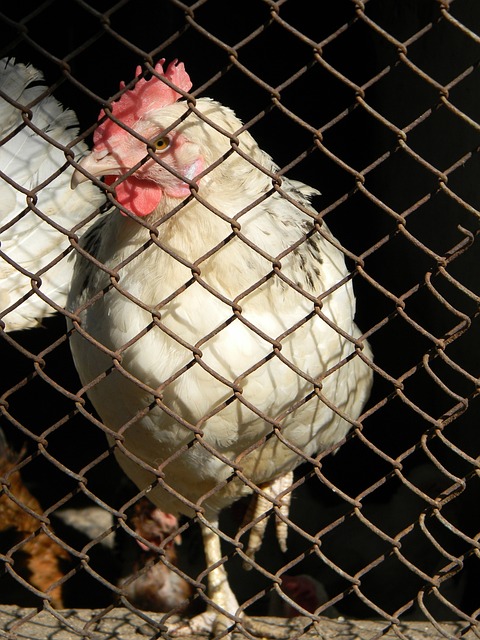 感受到传统 感受到传统