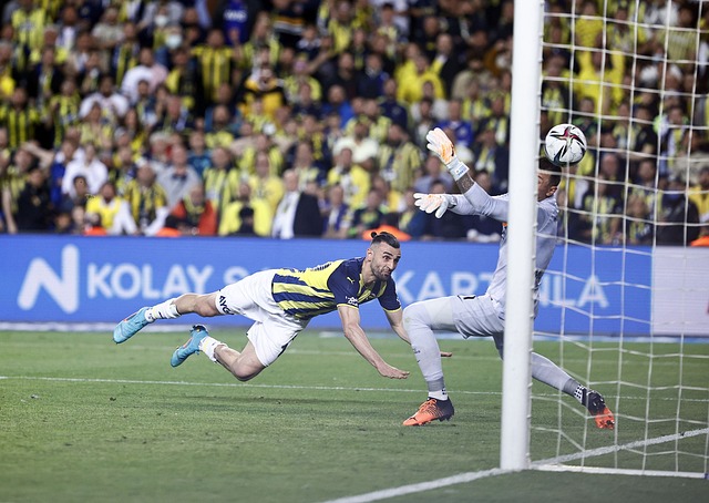 一支不折不 一支不折不