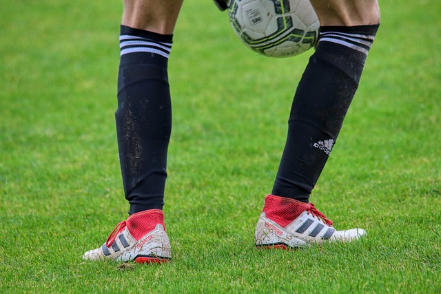 凭借稳定的 凭借稳定的