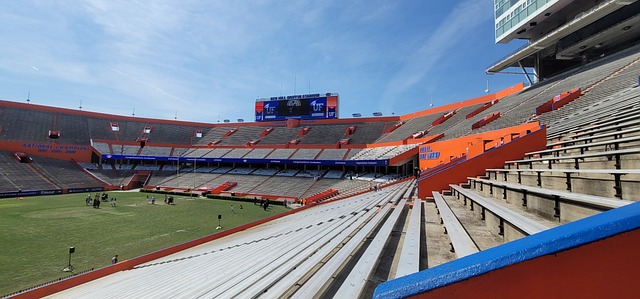 它不仅为我 它不仅为我