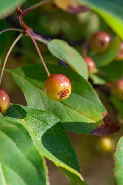 更是一种心 更是一种心